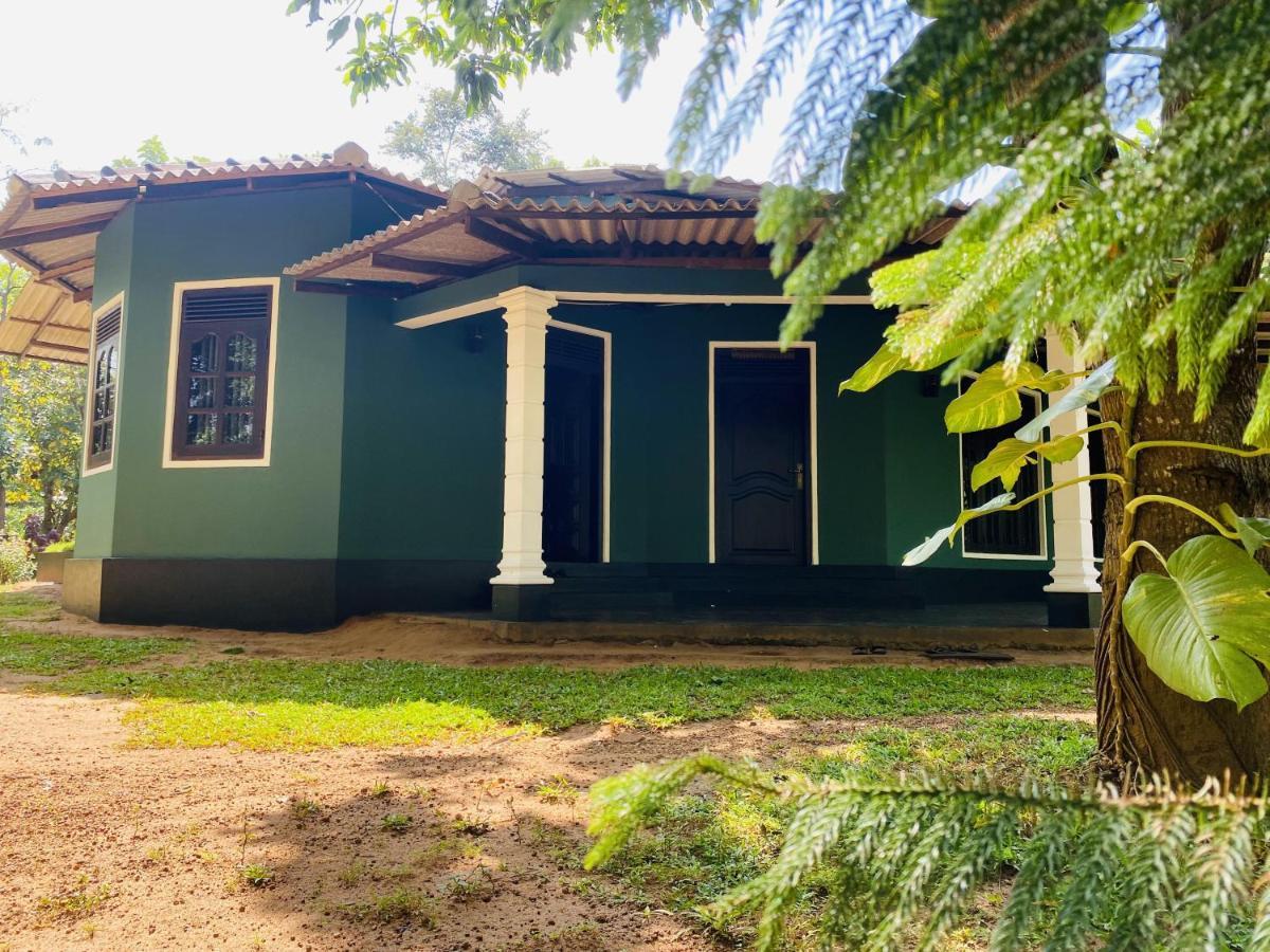 Sigiri Siesta Homestay Sigiriya Ngoại thất bức ảnh